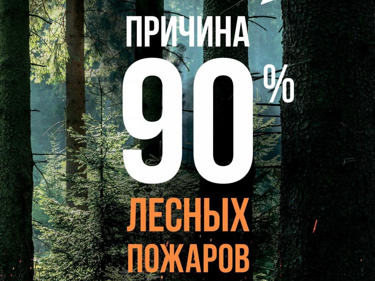 Сохраним лес от пожаров!.