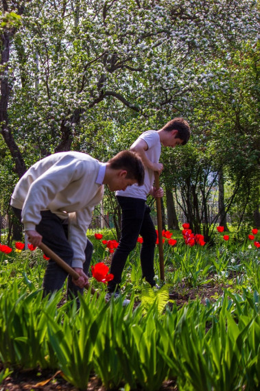 Школьники Токарёвского округа высадили саженцы и цветы в преддверии Дня Победы.