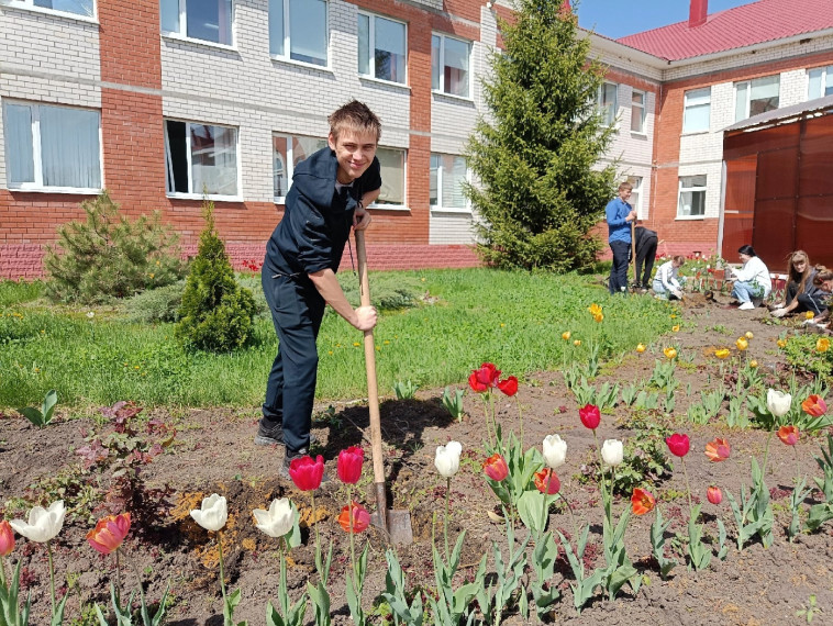 Школьники Токарёвского округа высадили саженцы и цветы в преддверии Дня Победы.