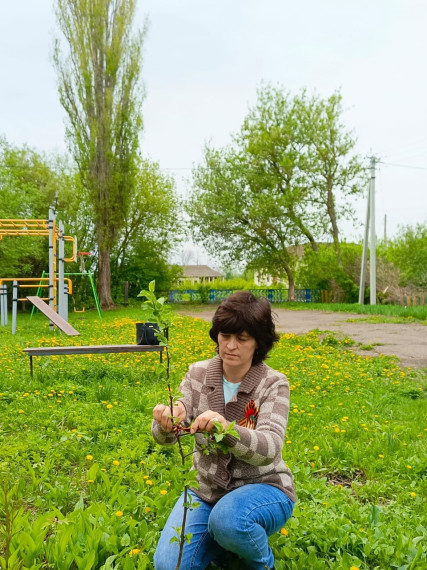 Жители Токарёвского округа активно участвуют в акции «Сад Памяти».